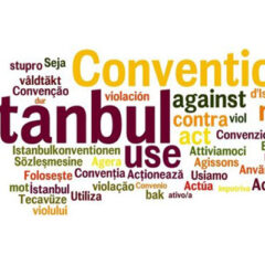 Kodėl mums NEreikia ratifikuoti Stambulo konvencijos?